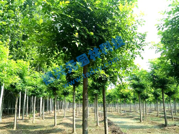 �c���鿴Ԕ����Ϣ���}����Ϟ ��x�Δ���2620