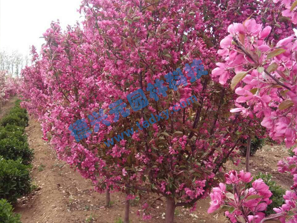 �c���鿴Ԕ����Ϣ���}���k������ ��x�Δ���2428